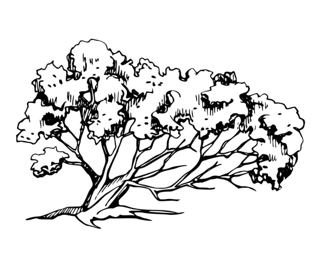 Line drawing of a tree growing sideways